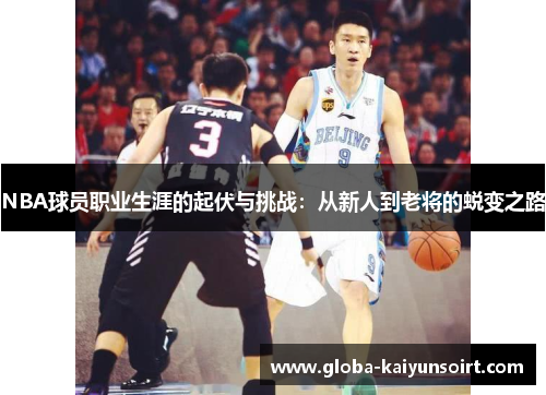NBA球员职业生涯的起伏与挑战：从新人到老将的蜕变之路
