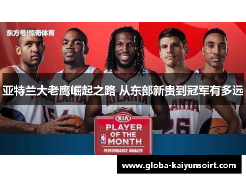 亚特兰大老鹰崛起之路 从东部新贵到冠军有多远